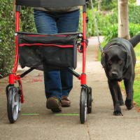 Image_stack_1 Image_stack_1