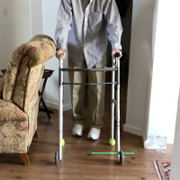 Image_stack_2-1 Image_stack_2-1